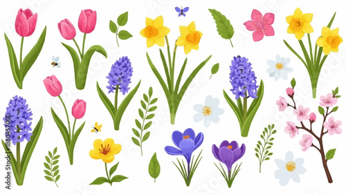 Collection of Spring Flowers and Blossoms.