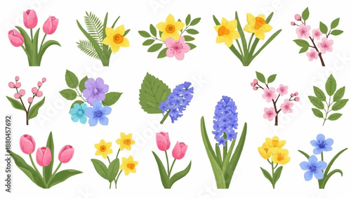 Collection of Spring Flowers Assortment Botanical Illustrations.