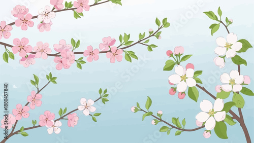 Spring Blossom Branches with Pink and White Flowers.