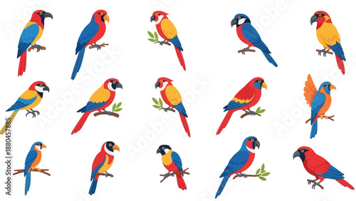 Collection of various vividly colored tropical macaws and parrots perched on branches in a flat illustration style design set