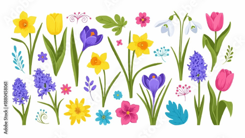 Collection of Spring Flowers and Blossoms Isolated on White Background.