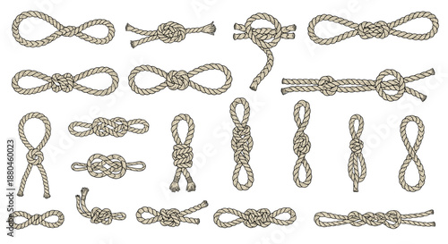 Various types of nautical and climbing rope knots illustrated in an antique style for sailing and outdoor skills.