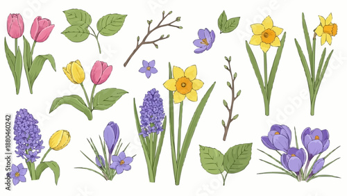 Spring Flowers Collection Botanical Illustrations.