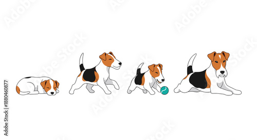 Sequential illustration of a jack russell terrier puppy growing from a sleeping newborn to a playful young dog chasing a blue ball in motion.