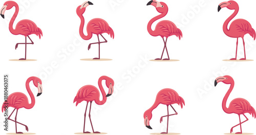 A lovely assortment of eight charming pink flamingos in diverse standing and observational poses on white