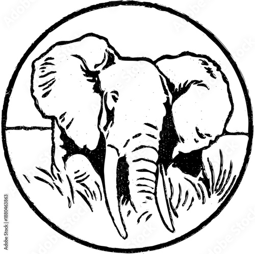 elephant vector illustration