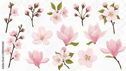 Collection of delicate pink cherry blossom and magnolia flowers.
