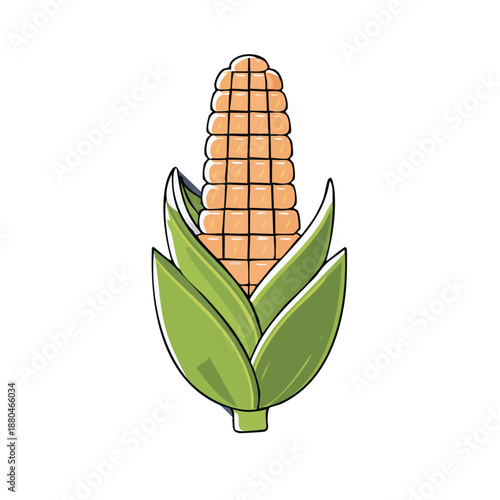 Fresh Sweet Corn Vegetable Vector Illustration with Black Outline
