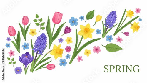 Spring Flowers Collection Botanical Illustration.