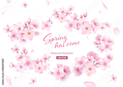 桜の花と花びらの水彩イラストでデザインした、緩やかな楕円形フレーム ベクター