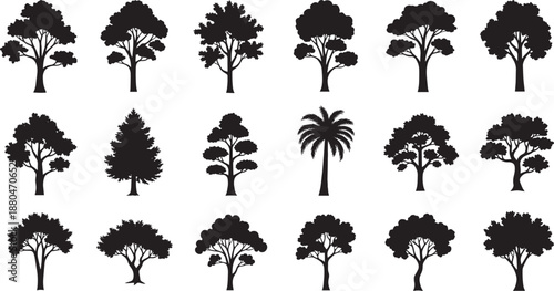 Forest tree silhouettes set, various deciduous and coniferous plant shapes