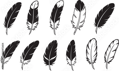 Collection of detailed black feather silhouettes in two rows