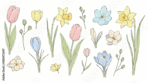 Spring Flowers Collection Hand Drawn Botanical Illustrations.