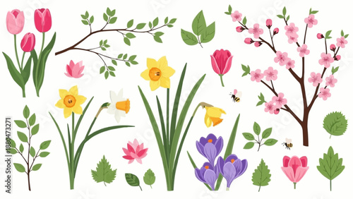 Spring Flowers and Branches Collection.