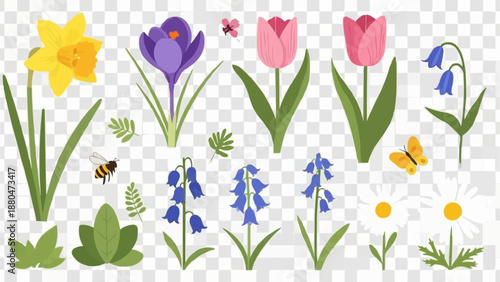 Spring Flowers Collection Daffodil Tulip Crocus Bluebell Daisy.