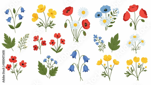 Collection of various wildflowers and green leaves isolated on white background.