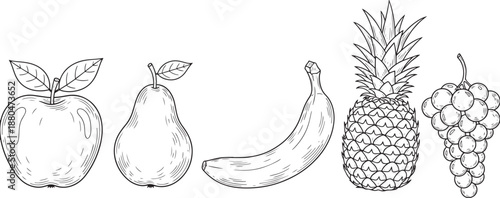 Set of tropical and common fruits drawing sketch vector engraving style graphic