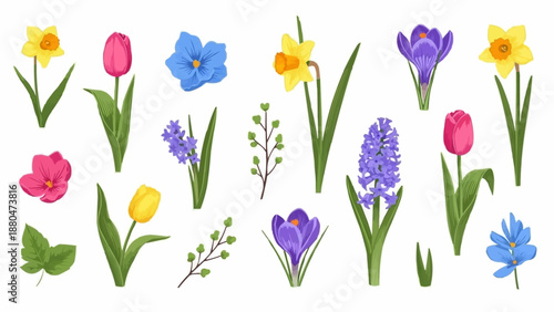 Collection of Spring Flowers and Plants Isolated on White Background.
