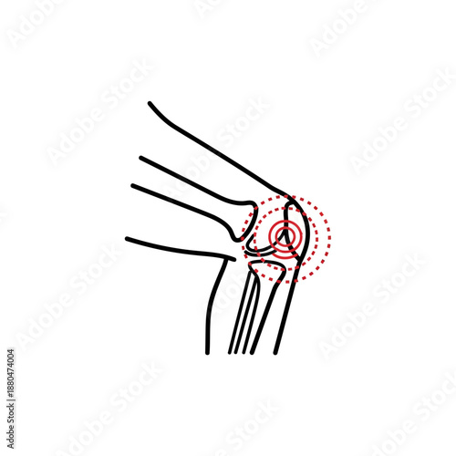 Human Knee Joint Anatomy Illustration – Leg Bone Medical Line Art Diagram