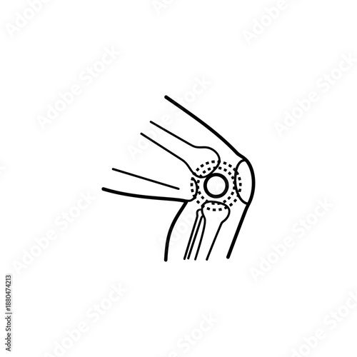 Human Knee Joint Anatomy Illustration – Leg Bone Medical Line Art Diagram