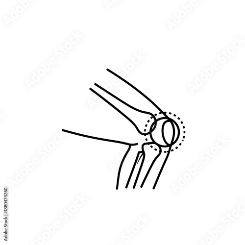 Human Knee Joint Anatomy Illustration – Leg Bone Medical Line Art Diagram