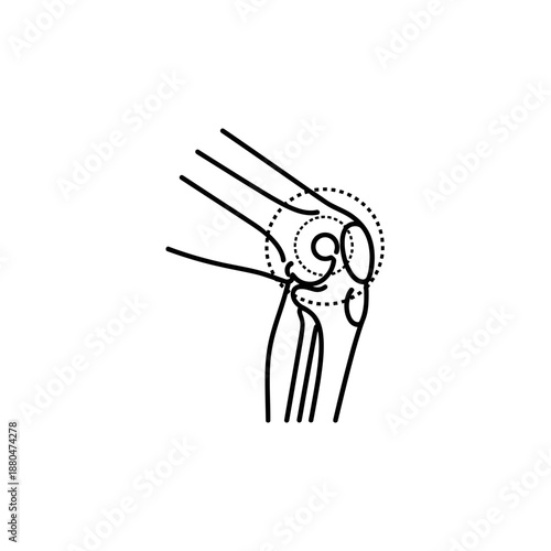 Human Knee Joint Anatomy Illustration – Leg Bone Medical Line Art Diagram