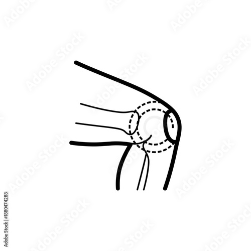 Human Knee Joint Anatomy Illustration – Leg Bone Medical Line Art Diagram