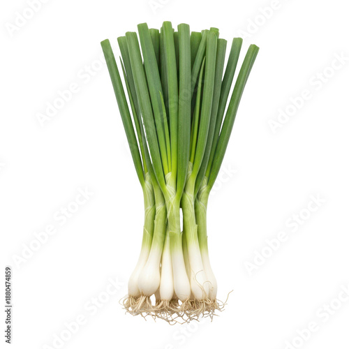 Fresh Scallions: A fresh bunch of scallions is captured in a captivating studio shot. Its vibrant green and white hues create an enticing visual experience. © mashimara