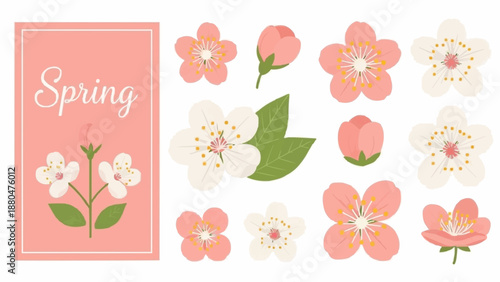 Spring Flowers and Blossoms Collection.