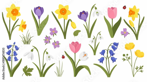 Collection of Spring Flowers and Insects Illustration.