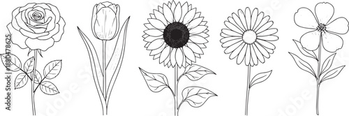 Outline drawing of various flowers with leaves isolated on white