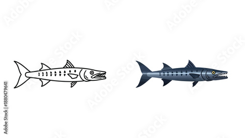 Barracuda fish illustration showing both a detailed colored version and a simple black and white outline icon perfect for design projects