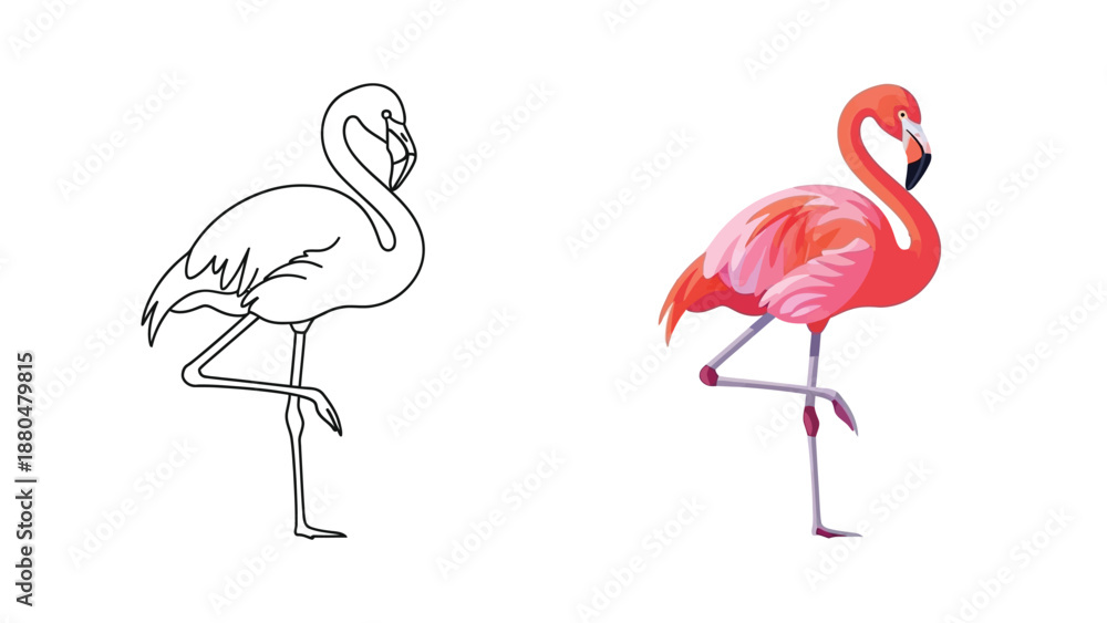 Obraz premium Collection of two flamingo illustrations one featuring a simple black outline drawing and the other a vibrant colored tropical bird standing on one leg