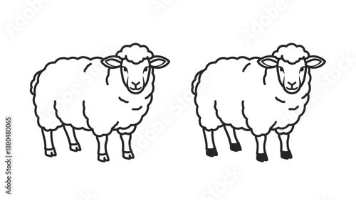 Adorable cartoon drawing of a fluffy sheep next to a black and white line art version perfect for coloring activities