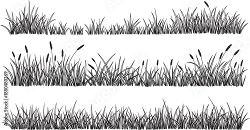 Black silhouette horizontal borders tall grass reeds cattail nature meadow