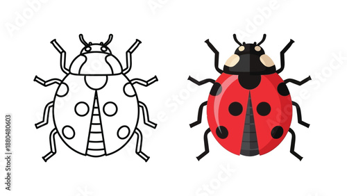Illustration showing a color version and a black outline version of a cute ladybug insect side by side for coloring books or educational use
