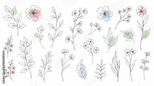 Delicate Hand Drawn Floral Elements with Watercolor Accents.
