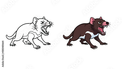 Cartoon Tasmanian devil animal set showing a snarling colored illustration beside a black and white outline version perfect for coloring books