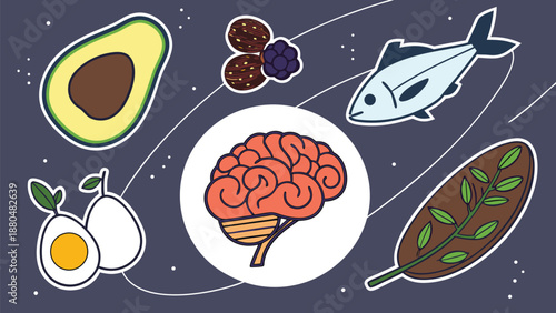 Brain food concept with healthy eating illustration for nutrition and wellness