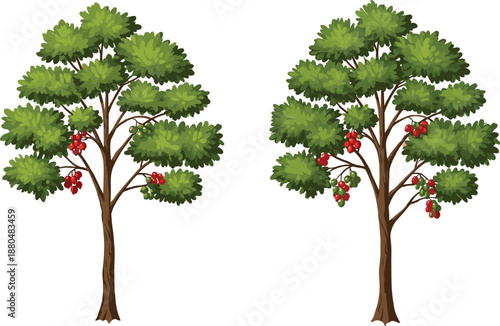 Cartoon fruit trees illustration, green foliage with red fruits, agriculture concept, harvest season, farming education, botanical drawing, nature design, orchard artwork