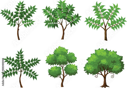 Cartoon tree collection illustration, various green tree types, forest foliage clipart, summer vegetation graphics, botanical plant set, isolated nature