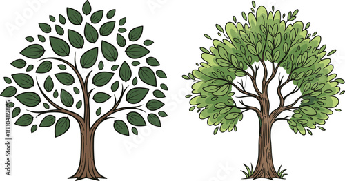 Tree illustration, stylized and natural, foliage contrast, botanical design, forest concept, nature art, flat vector, cad drawing, landscape element