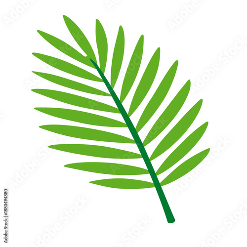 Light green palm frond with multiple leaflets icon for beach themes, vacation branding, or minimalist botanical illustration.