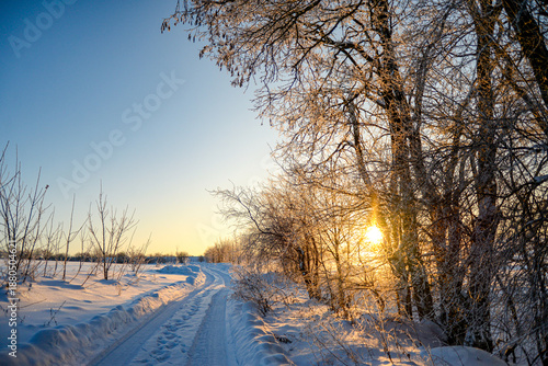 Beautiful landscape on a frosty morning