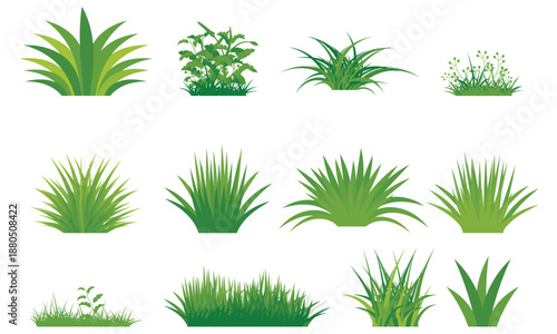 Green grass and plant illustration set with different foliage shapes in flat style