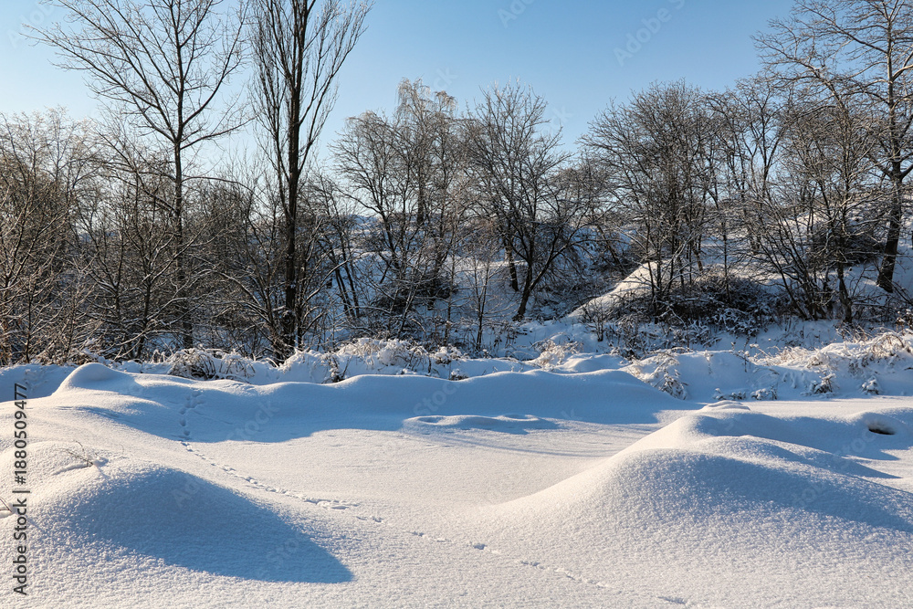 Obraz premium Winter landscape with snow-covered forest and blue sky in sunny day