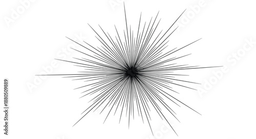 Many thin black lines radiate outwards from a central point to create a sharp and explosive starburst effect on a white canvas.