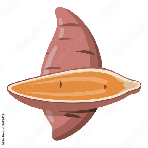 Fresh Sweet Potato or Yam Vegetable Vector Illustration with Slice