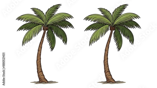 Two palm trees illustration tropical nature vector art
