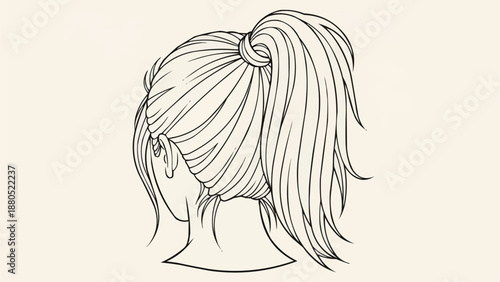 Womans Hair Styled in a High Ponytail Back View Illustration.